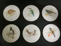■ 未使用 コースター 6枚セット ニュージーランドの鳥