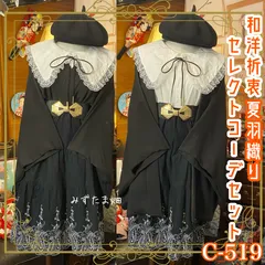 和洋折衷 コーディネート 夏羽織コーデ まとめ売り レトロ クラシカル 和装 セレクト 古着 黒/ブラック系 5点セット C-519