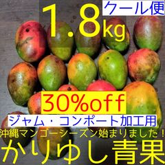 〈30%off〉【ジャム・コンポート加工用】沖縄県産 黄色くなった摘果/青/グリーンミニマンゴー約1.8kg【クール便】④