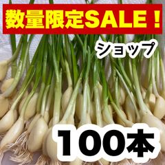 【お買得‼️】100 にんにくスプラウト 即購入OK