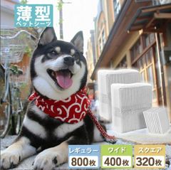 Item thumbnail for item 854e9146-fc06-469e-bbe5-95fbf570176e