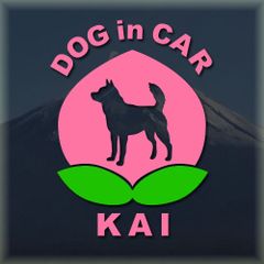 甲斐犬のドッグインカーかわいい桃ちゃんのピンク色ステッカー‼︎