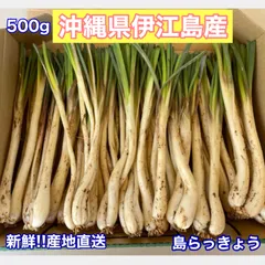 2024年最新】島らっきょう 沖縄の人気アイテム - メルカリ