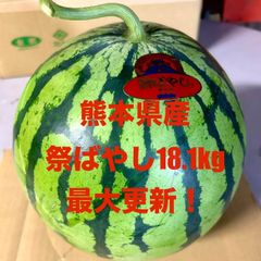 【産地直送・大玉すいか赤果肉・即日発送可】熊本県産大玉スイカ　祭ばやし　１８．１ｋｇ　１玉　正規品　秀品