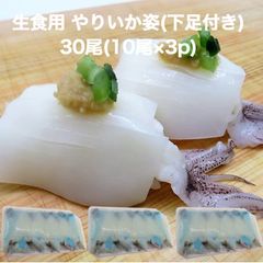 【送料無料】生食用 ゲソ付き やりいか姿 30尾(10尾×3p) 寿司ネタ 冷凍便  生食用 のせるだけ 刺身用 海鮮丼 ヤリイカ