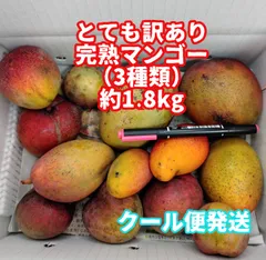 2025年最新】赤キーツマンゴーの人気アイテム - メルカリ