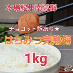 【今だけキャンペーン❗】キズありつぶれ☆完熟白干し梅 10kg ご家庭用 少し訳あり 白干梅 梅干 10kg 大粒3L （塩分22