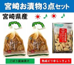 【宮崎のお漬物】ごぼう醤油漬け2袋　熟成・ピリ辛らっきょう（甘酢漬け）1袋