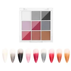 ミラーパウダー 固形 ネイルパウダー 9色 パレット ミラーネイル パウダー ネイルアート レジン ジェルネイル メタリックネイルパウダー チップ付き (B)