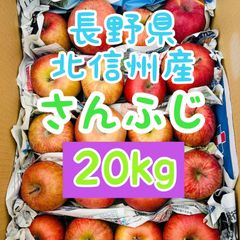 まとめ買いで超お得😆業者様も大歓迎🍎フォロワー様クーポン付き 長野県産ふじりんご約20kg 並品✖️訳ありMIX🍎　全国送料無料🚚