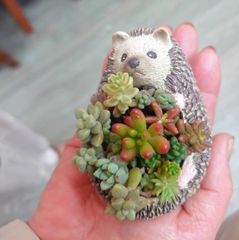 小さなレジン製植木鉢  はりねずみ 穴付 　入荷しました。