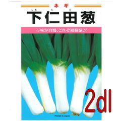 カネコ種苗　下仁田葱　２ｄｌ