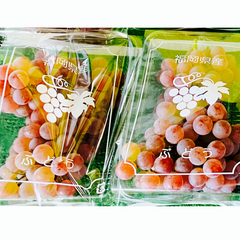 くまもと食彩の力 国産 九州産 デラウェア 約250g×2パック ぶどう 優品 【002】果物 種なしぶどう 小粒ぶどう 熊本 福岡 葡萄 ブドウ フルーツ 家庭用 小粒 クール冷蔵