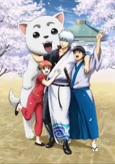 【中古】その他DVD 銀魂 銀祭り2019(仮) [初回仕様限定版]