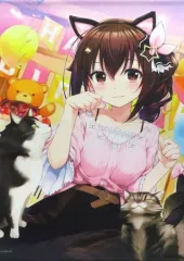 【中古】タペストリー ときのそら B2タペストリー 「ホロライブ ときのそら 誕生日記念2022」