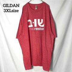 【GILDAN】psalm51:12 キリスト教 聖書　詩篇　両面プリントロゴ　オーバーサイズ　半袖Tシャツ　アカ　3XL US古着