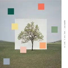 WASHED OUT レコード LP アナログ盤 チルウェーブ 洋楽 チップ＆デール EPレコード Sailor Songs 1962年 ヴィンテージ
