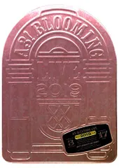 [数量限定版]A3! BLOOMING LIVE 2019 SPECIAL BOX [Blu-ray](中古品)