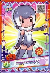 けものフレンズ3 プラネットツアーズ　アナザー AC「けものフレンズ3 プラネットツアーズ」のVer.1.3が本日より