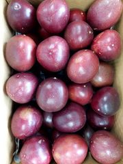 本日3箱限定！沖縄産パッションフルーツ　3キロ    無農薬