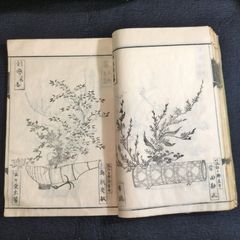 華道 絵入絵本◆東山流 花薄精輯◆挿花 生花 活花 花道 明治 時代物 浮世絵UKIYOE 木版画 骨董 古美術 古文書 和本 古書#和本～江戸屋～