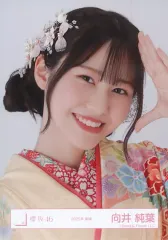 【中古】生写真(乃木坂46) 向井純葉/バストアップ/櫻坂46ランダム生写真【2025年 振袖】