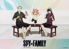 [중고] 포스터 B2 천 포스터 포저 집 [SPY × FAMILY × 극락탕 · RAKU SPA 휴일 EXTRA MISSION 목욕에서 사이좋게 가족을 어필하라]
