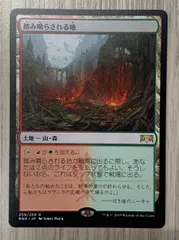 MTG 日本語3枚 踏み鳴らされる地 踏み鳴らされる地 (Stomping Ground) · Ravnica Remastered (RVR