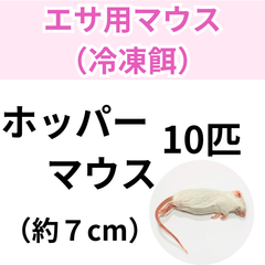 【冷凍餌】 冷凍ホッパーマウス　10匹入り　　爬虫類　両生類　エサ　餌　オオトカゲ　コーンスネーク　ボールパイソン　カエル　トカゲ　ヘビ 冷凍マウス　餌用マウス
