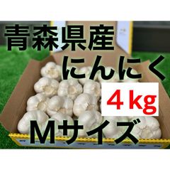 青森県産　乾燥にんにく　M サイズ　福地ホワイト六片