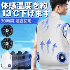 ペルチェベスト 【2026超大冷却面・体感温度-32℃・40000mAh大容量