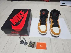 ジョーダン 1 エレメント GORE-TEX(ゴアテックス) 260 (スウッシュ 染色)