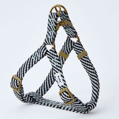 Item thumbnail for item b1c0b7fb-22a1-431f-9d74-8f199658653b