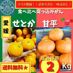 予約販売【希少☆食べ比べ突っ込みかん】愛媛県　サイズはいろいろ　甘平×せとか　2kg
