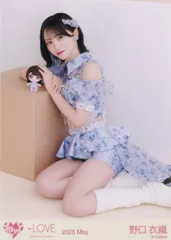＝LOVE 2025年5月ランダム生写真 野口衣織 2025 May (ぬいぐるみマスコット) 座り