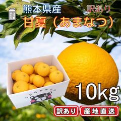 구마모토 현산 [역 있음] 감 여름 감귤 [상자 포함 10kg] 프리프리 식감 감 여름