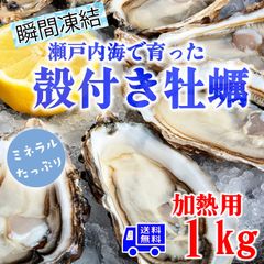 牡蠣 冷凍 カキ かき 貝 かい 殻付き SMサイズ 真牡蠣 瀬戸内産 1キロ 産地直送 バーベキュー BBQ 加熱用 送料無料 即日発送