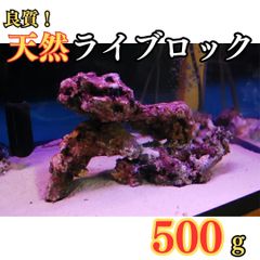 【即日発送】良質 天然 ライブロック 500g 量り売り サンゴ ※地域限定販売