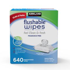 カークランドシグネチャー 流せるウェットワイプ 64 枚 x 10 Kirkland Signature Flushable Wipe 64 Count x 10