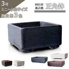 【未使用】盆栽鉢 陶器 3号 正角鉢 おしゃれ 専門店 ミニ 小さい 黒釉 白釉 茶釉 四日市萬古焼 英窯 四角 浅型 山野草 観葉植物 アガベ 塊根 サボテン 手造り モダン 約9センチ 苔 うめきち盆栽用品店