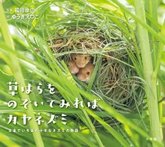 カヤネズミの゙巣　6個セット カヤネズミの゙巣 6個セット