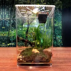 2025年最新】爬虫類ケージ カメレオンの人気アイテム - メルカリ
