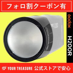 Godox ゴドックス H200R AD200対応 ラウンド フラッシュ