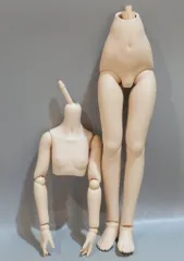 ボークス公式 ドルフィーオンラインストア