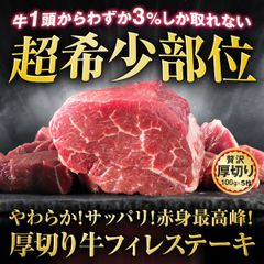 【牛肉の女王】牛ヒレ ステーキ 100g 5枚 厚切り 赤身肉 業務用 冷凍