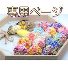 ❁愛莉様専用❁