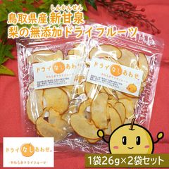新物！新甘泉 ドライフルーツ やわらかドライフルーツ（2パックセット） 送料無料 無添加 鳥取県産 [常温] ドライなしあわせ 梨 新甘泉 干し梨dorainasi2