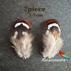 ◾️⭐︎【SS8】2枚セット 羽根 フェザー 鳥 パーツ 材料 アクセサリー 素材