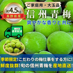 信州青梅 ～爽やかな香りと共に～ 【内容量】約4.5kg【配送方法】通常配送【サイズ】L以上【品目】梅（うめ）【品種】当店お任せ【産地】長野県【規格】ご家庭用A品B品混合【詰め方】バラ詰め【配送までの日数】1～4日