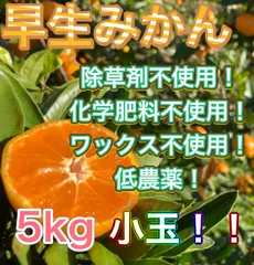和歌山県産　下津　みかん　低農薬　小玉